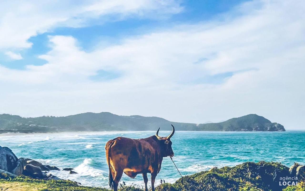 Casas A 200 Metros Do Mar . Βίλα Praia do Rosa Εξωτερικό φωτογραφία